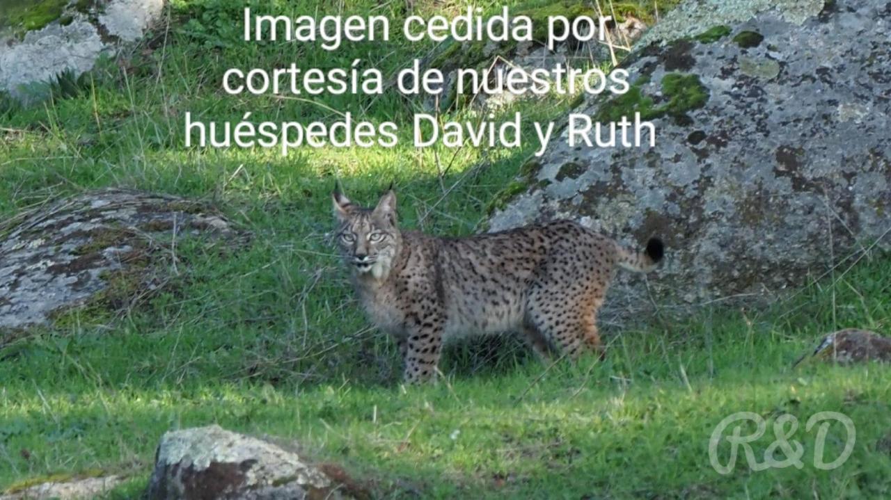 La Isabelita Vila Andújar Exterior foto